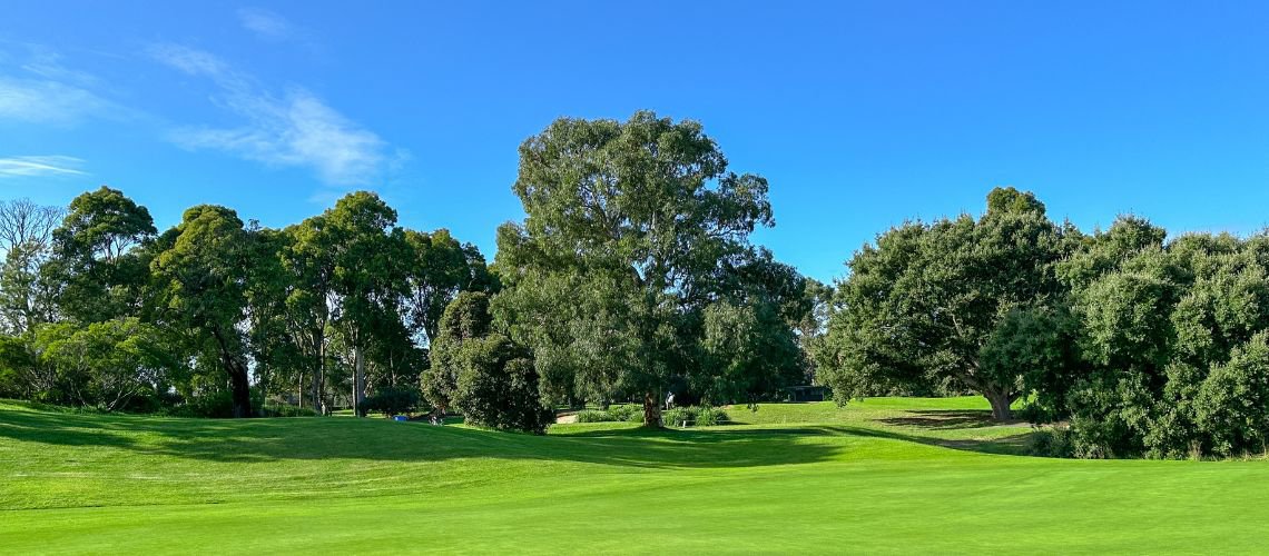 MEMBERSHIPS AVAILABLE AT BRIGHTON cover